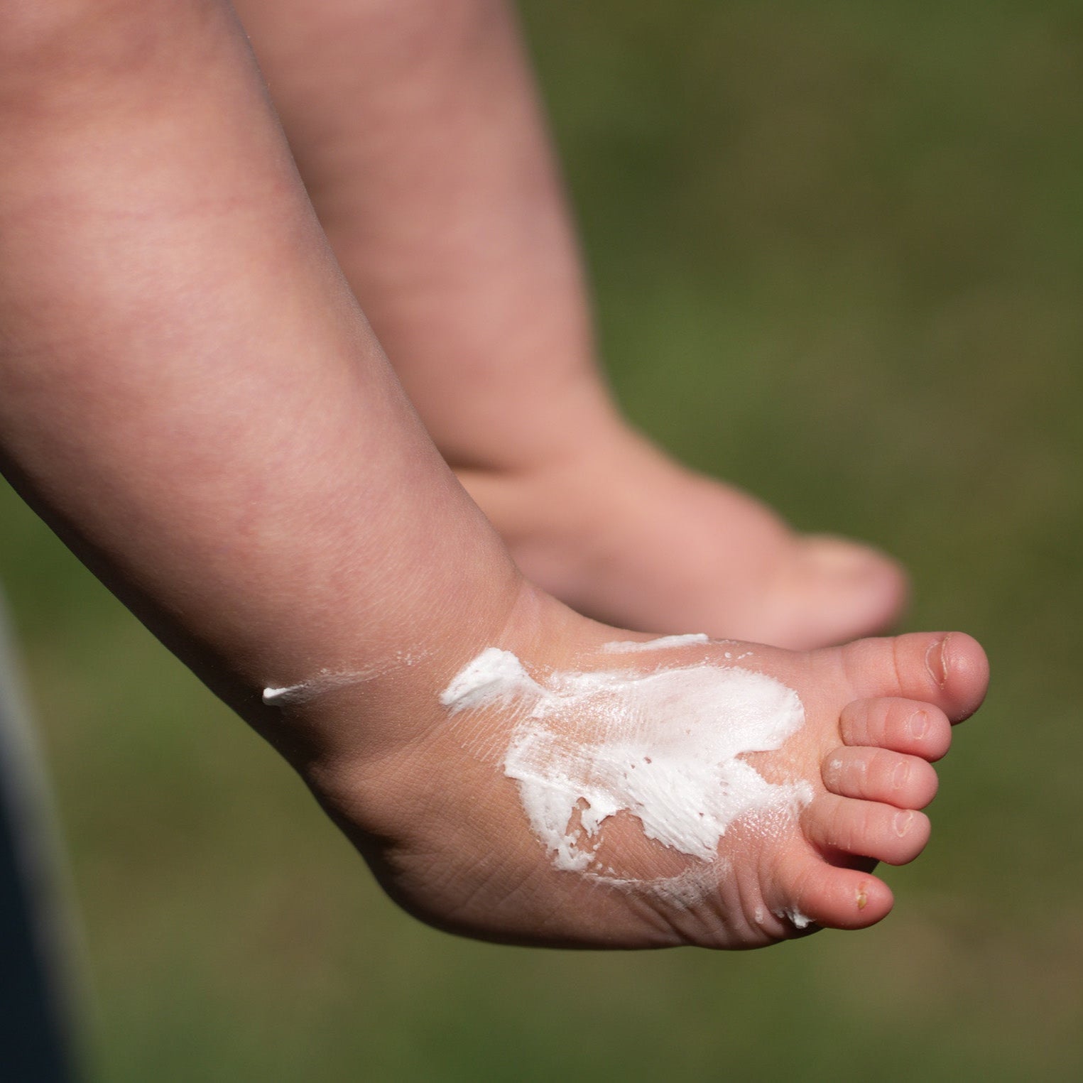 Whipped Tallow Cream - 2 oz